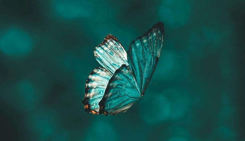How to Thrive During Life Transitions